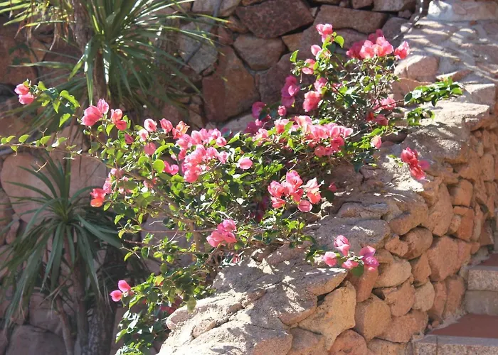 Tatil Evi A - Villaggio Punta Volpe - Iun S5393 Porto Rotondo